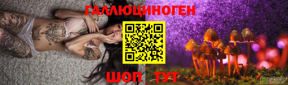 Псилоцибиновые грибы GOLDEN TEACHER  Псилоцибиновые грибы Cubensis  Вход с VPN  Симферополь 